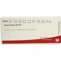 Пульпа Дентис ● Pulpa Dentis