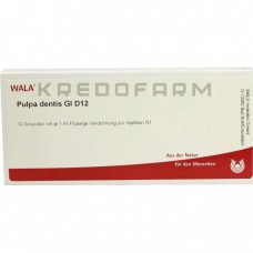 Пульпа Дентіс ● Pulpa Dentis