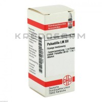 Пульсатилла ● Pulsatilla