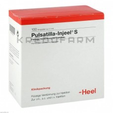 Пульсатилла Иньель ● Pulsatilla Injeel