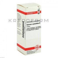 Кверкус ● Quercus