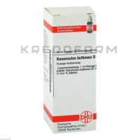 Ранункулюс Бульбозус ● Ranunculus Bulbosus