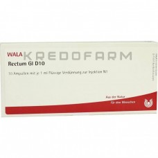 Ректум ● Rectum