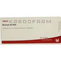 Ректум ● Rectum