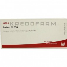 Ректум ● Rectum