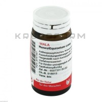 Ренес Эквизетум ● Renes Equisetum