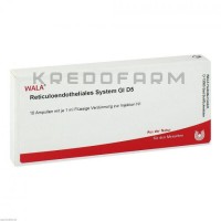 Ретикулоэндотелиалис ● Reticuloendotheliales