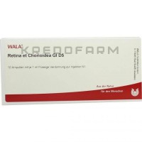 Ретина ● Retina