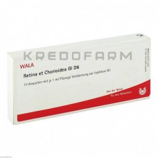 Ретина ● Retina