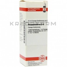 Рододендрон ● Rhododendron