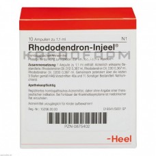 Рододендрон Иньель ● Rhododendron Injeel