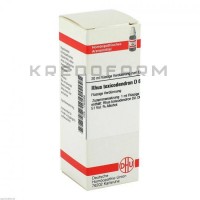 Рус Токсикодендрон ● Rhus Toxicodendron