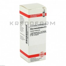 Рус Токсикодендрон ● Rhus Toxicodendron