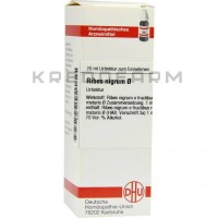 Рибес Нігрум ● Ribes Nigrum