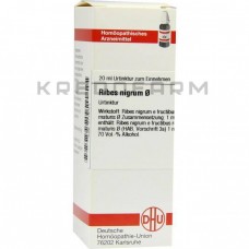 Рибес Нігрум ● Ribes Nigrum