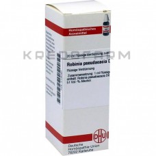 Робінія Псевдоакація ● Robinia Pseudacacia