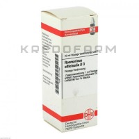 Розмаринус Оффициналис ● Rosmarinus Officinalis