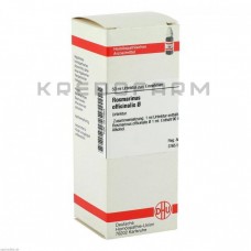 Розмаринус Оффіциналіс ● Rosmarinus Officinalis