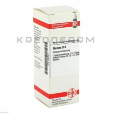 Румекс ● Rumex