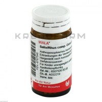 Саликс Рус ● Salix Rhus