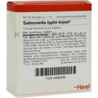 Сальмонела Тифі ● Salmonella Typhi