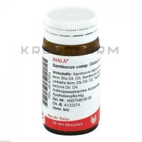 Самбукус Комп ● Sambucus Comp