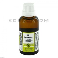 Самбукус ● Sambucus