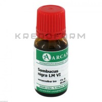 Самбукус Нігра ● Sambucus Nigra