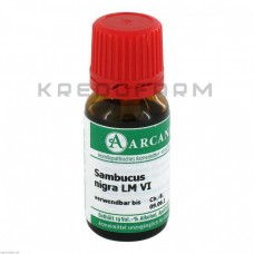 Самбукус Нігра ● Sambucus Nigra