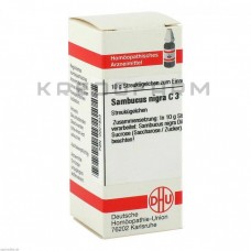 Самбукус Нігра ● Sambucus Nigra