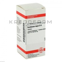 Самбукус Нігра ● Sambucus Nigra