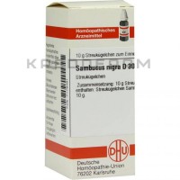 Самбукус Нігра ● Sambucus Nigra