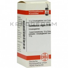 Самбукус Нігра ● Sambucus Nigra