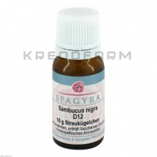 Самбукус Нігра ● Sambucus Nigra