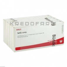 Сцила Комп ● Scilla Comp