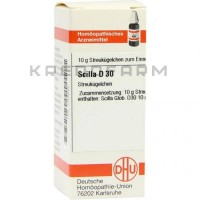 Сцила ● Scilla