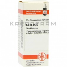 Сцила ● Scilla