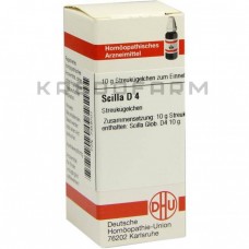 Сцила ● Scilla