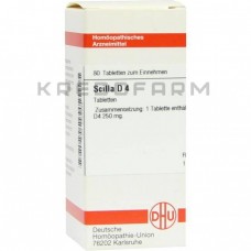 Сцила ● Scilla