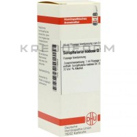 Скрофулярия Нодоса ● Scrophularia Nodosa