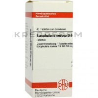 Скрофулярия Нодоса ● Scrophularia Nodosa