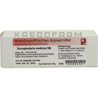 Скрофулярия Нодоса ● Scrophularia Nodosa