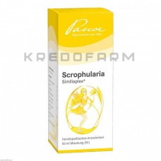 Скрофулярія Сіміліаплекс ● Scrophularia Similiaplex