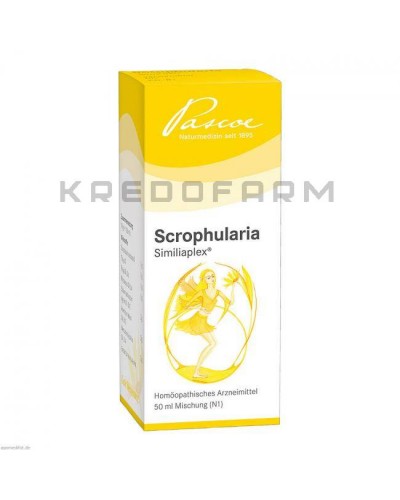 Скрофулярия Симилиаплекс капли ● Scrophularia Similiaplex