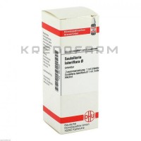 Скутеллярия Латерифлора ● Scutellaria Lateriflora