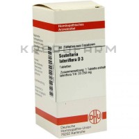 Скутеллярия Латерифлора ● Scutellaria Lateriflora