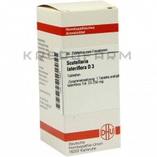 Скутелярія Латерифлора ● Scutellaria Lateriflora