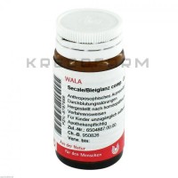 Секаль Блейгланц ● Secale Bleiglanz