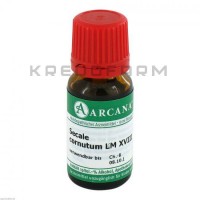 Секаль Корнутум ● Secale Cornutum