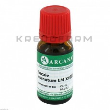 Секаль Корнутум ● Secale Cornutum